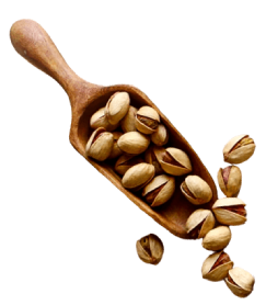 pistachio 2