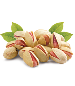 pistachio1