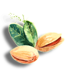 pistachio
