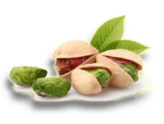 pistachio